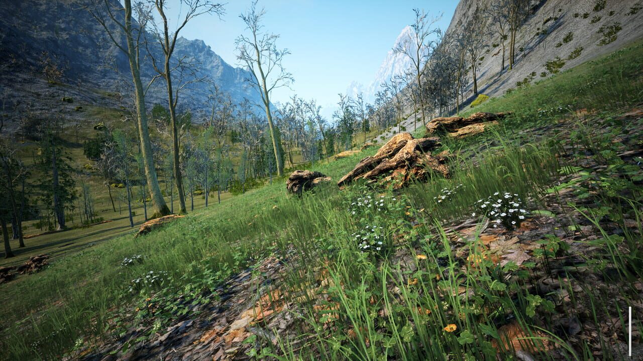 The Quiet Apocalypse Image