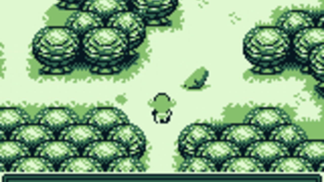 Forest — Screenshot 4