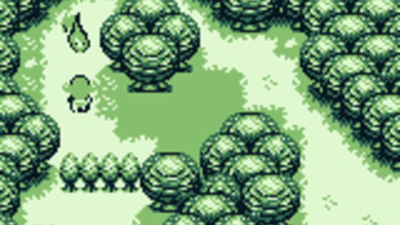 Forest — Screenshot 2