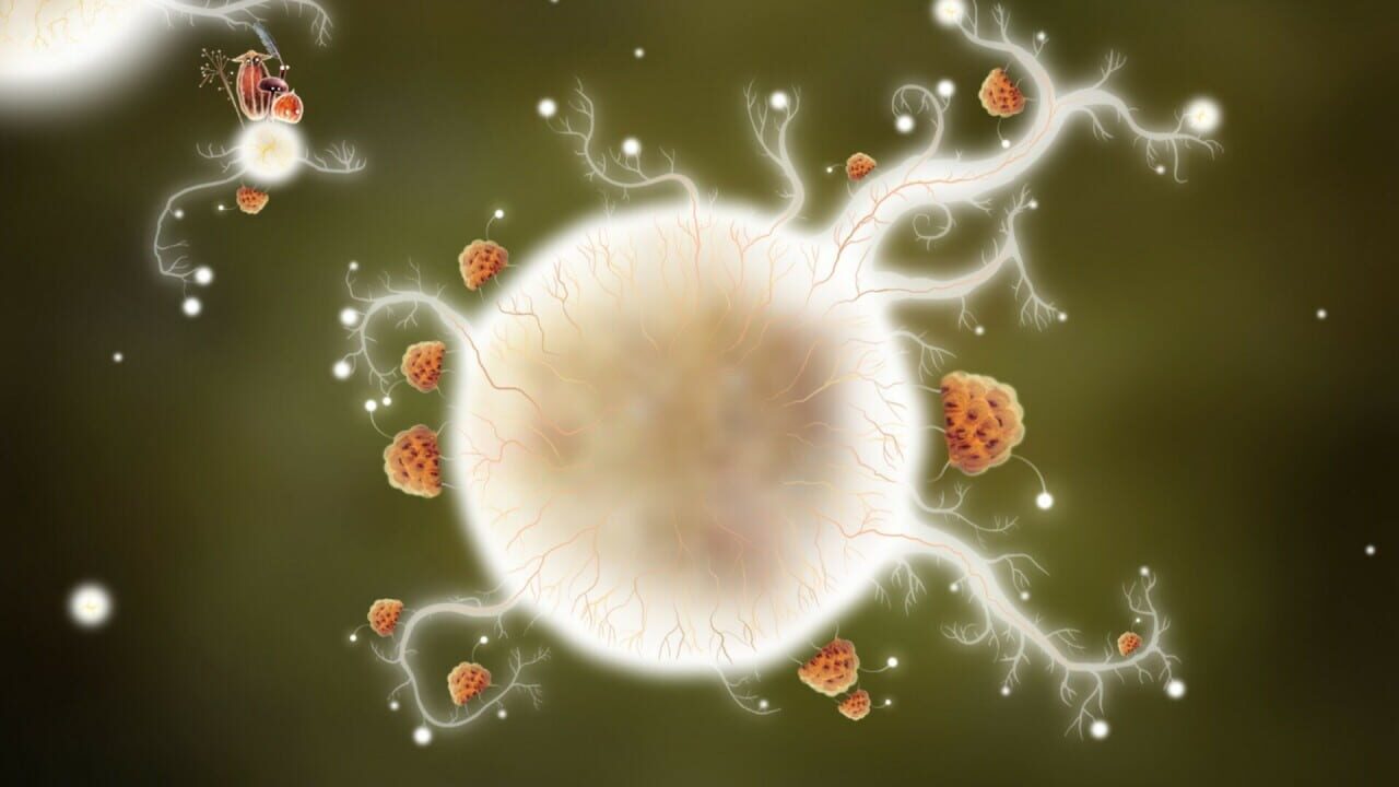 Botanicula: Collector's Edition — Screenshot 4