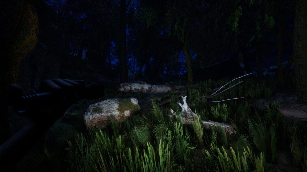 Forest — Screenshot 2