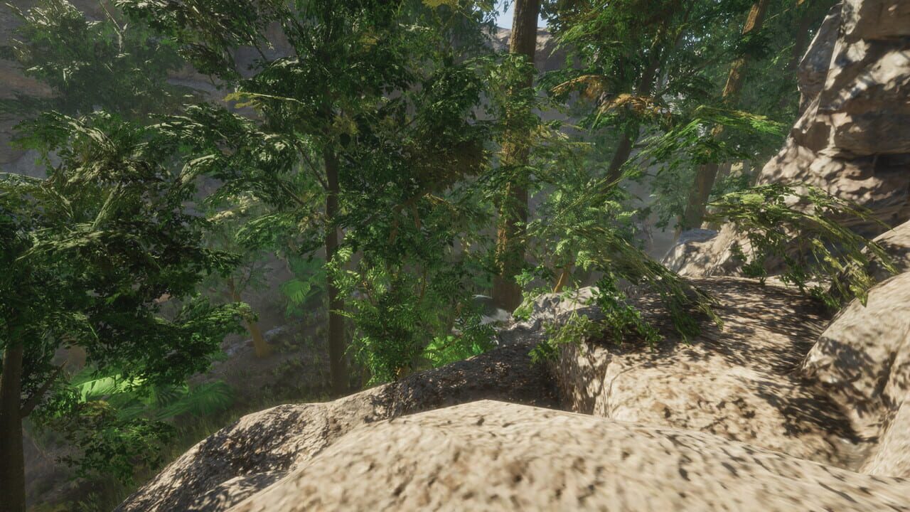 Forest — Screenshot 5