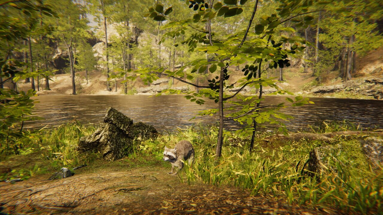 Animal Simulator Image