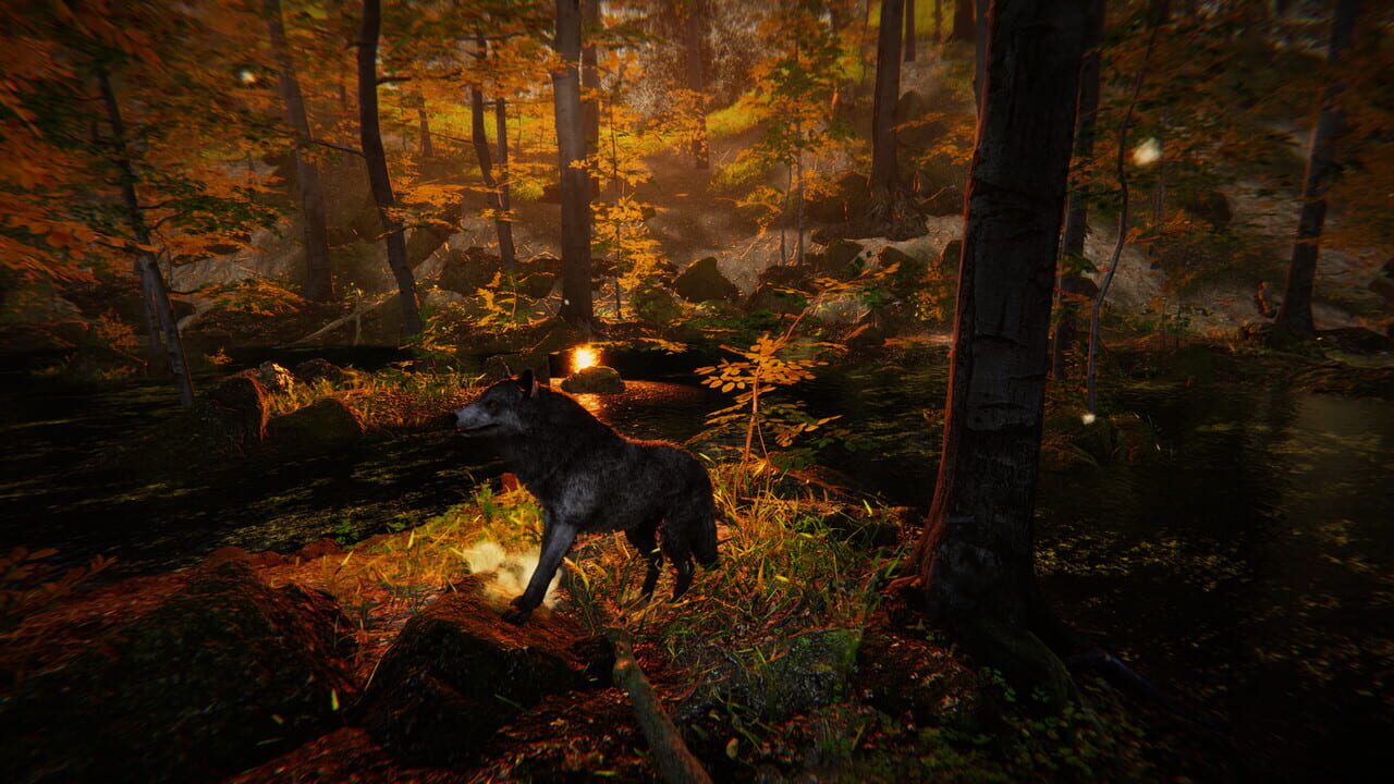 Animal Simulator Image