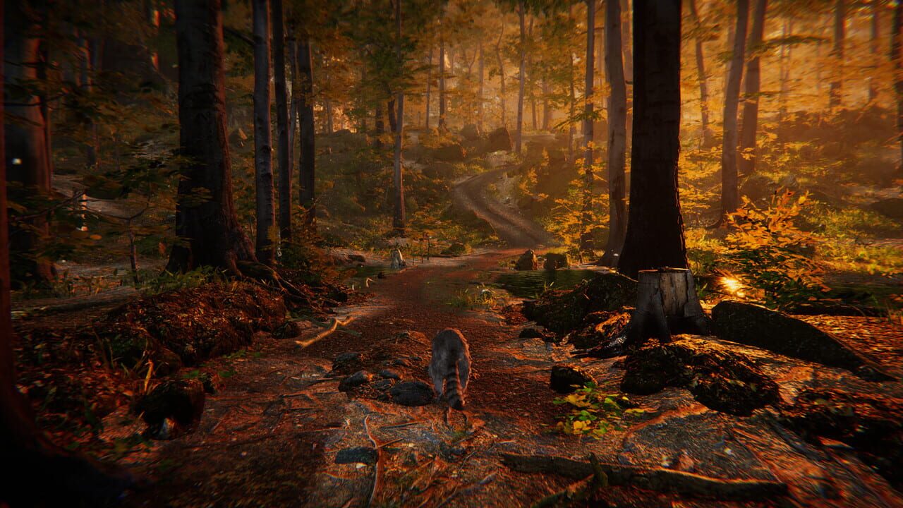 Animal Simulator Image