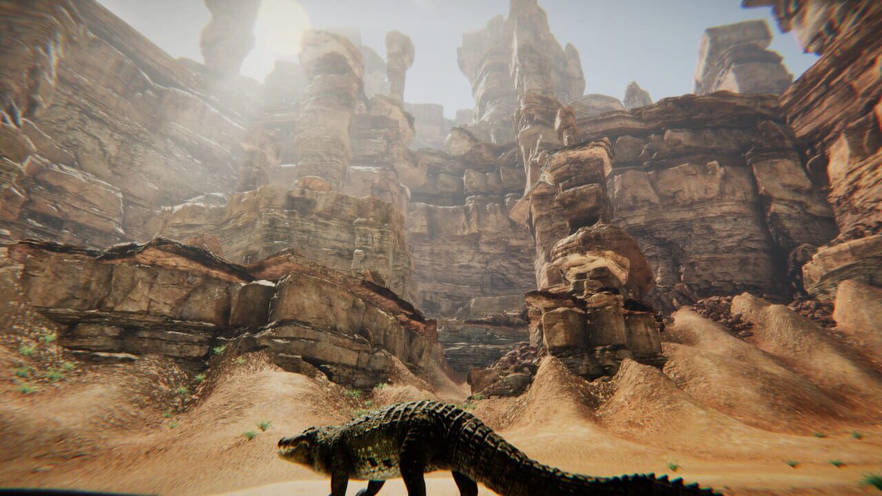 Animal Simulator Image