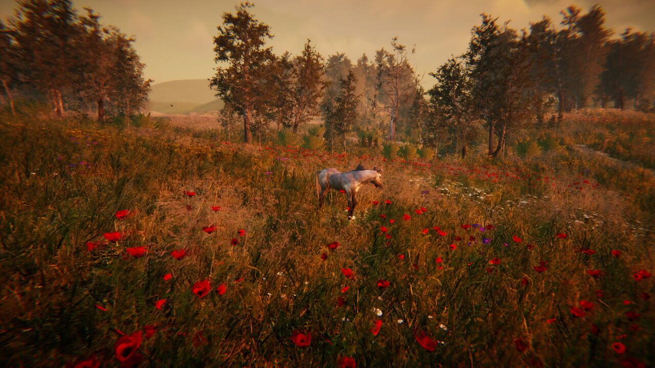 Animal Simulator Image