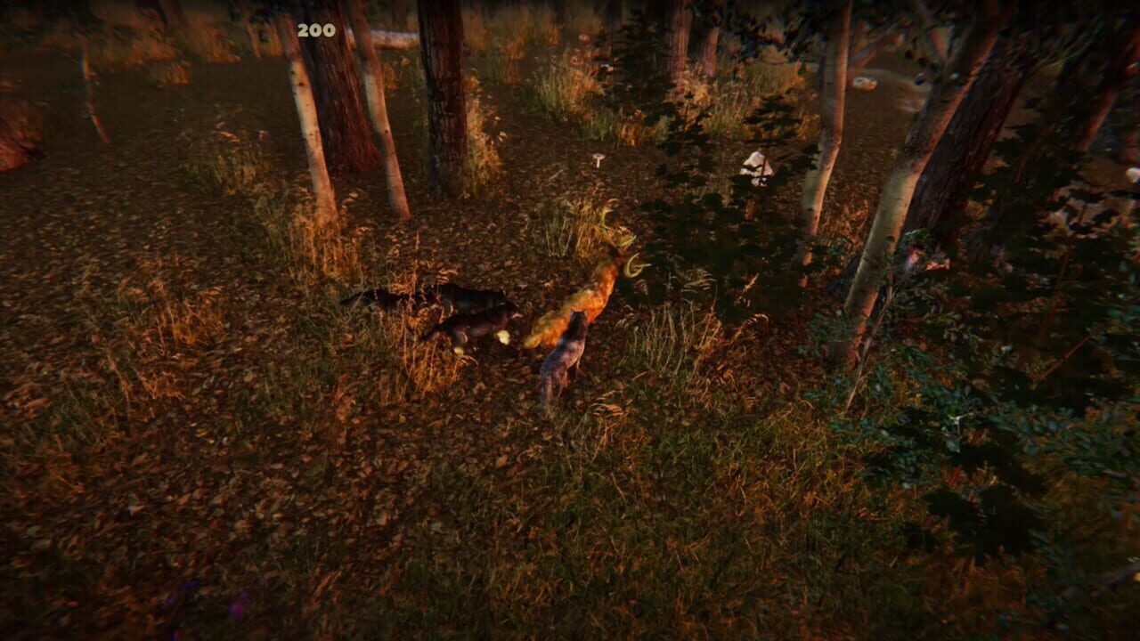 Animal Simulator Image