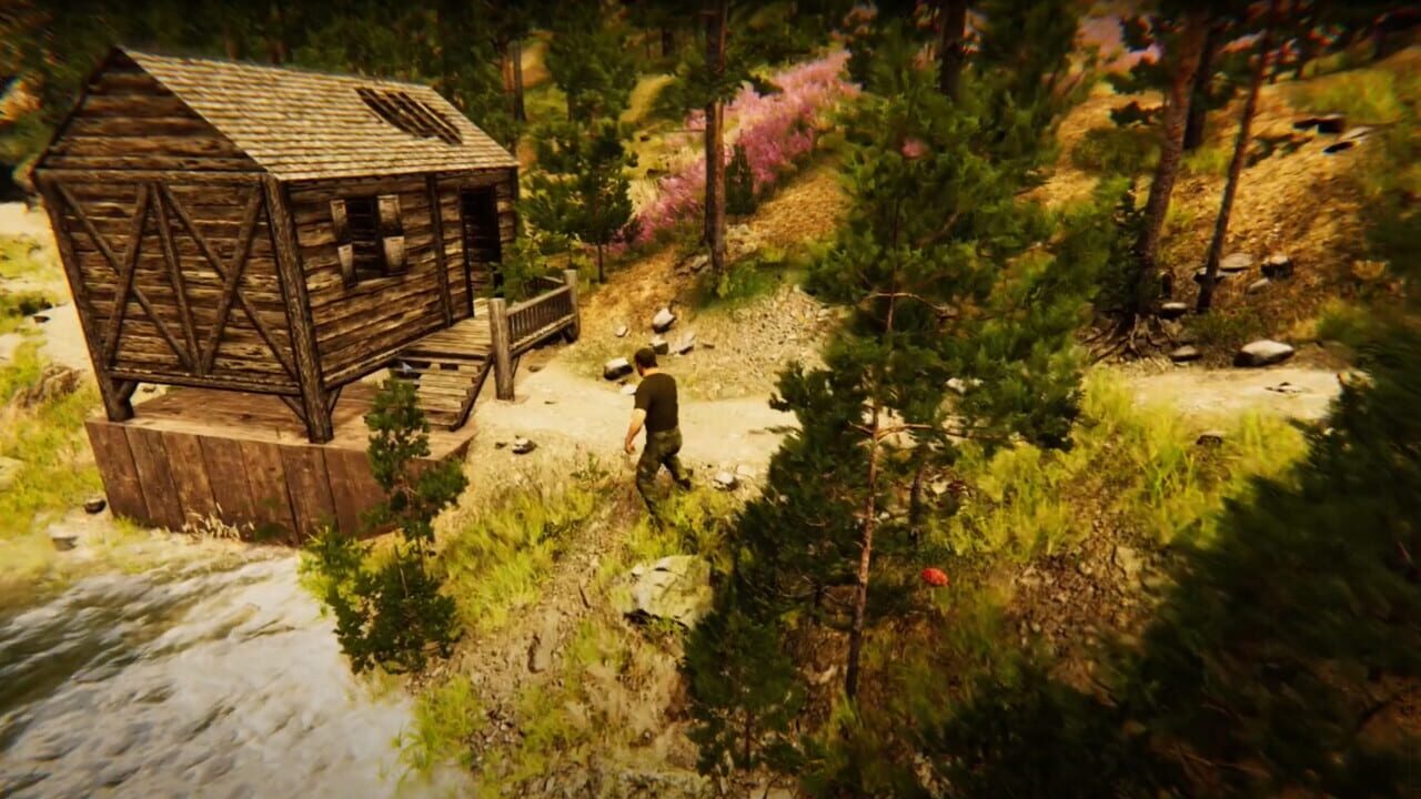 Animal Simulator Image