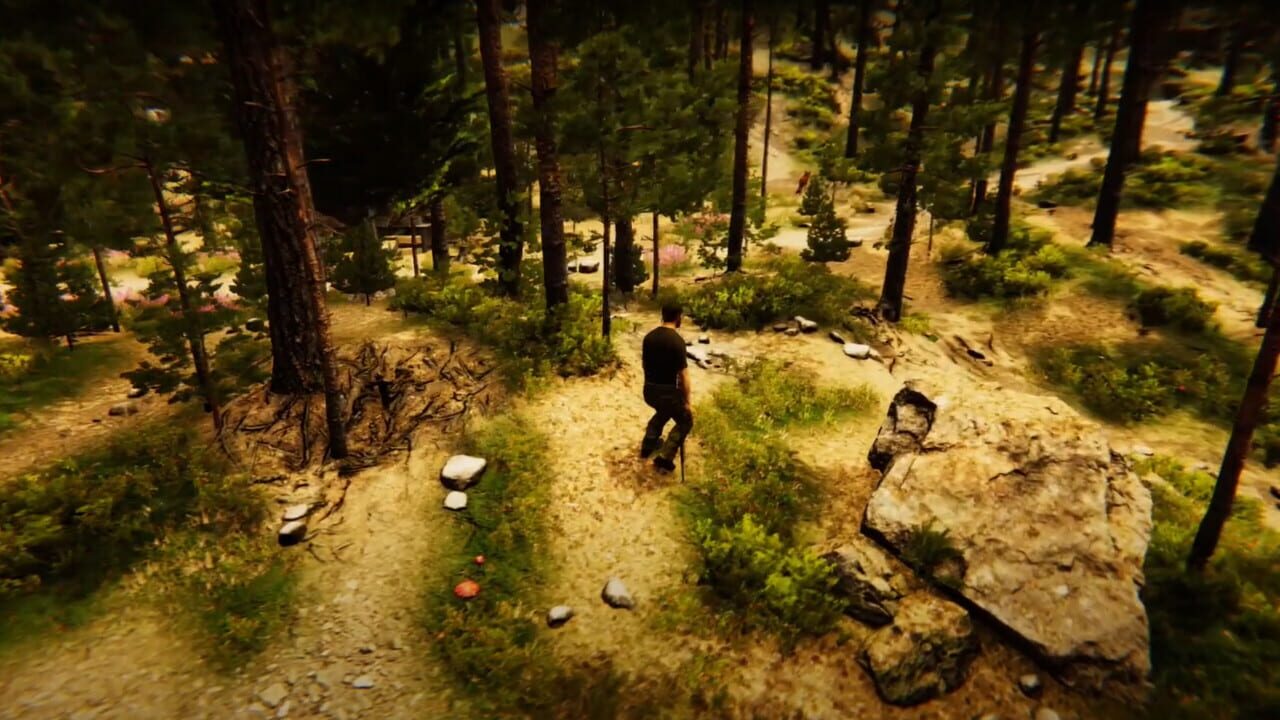 Animal Simulator Image