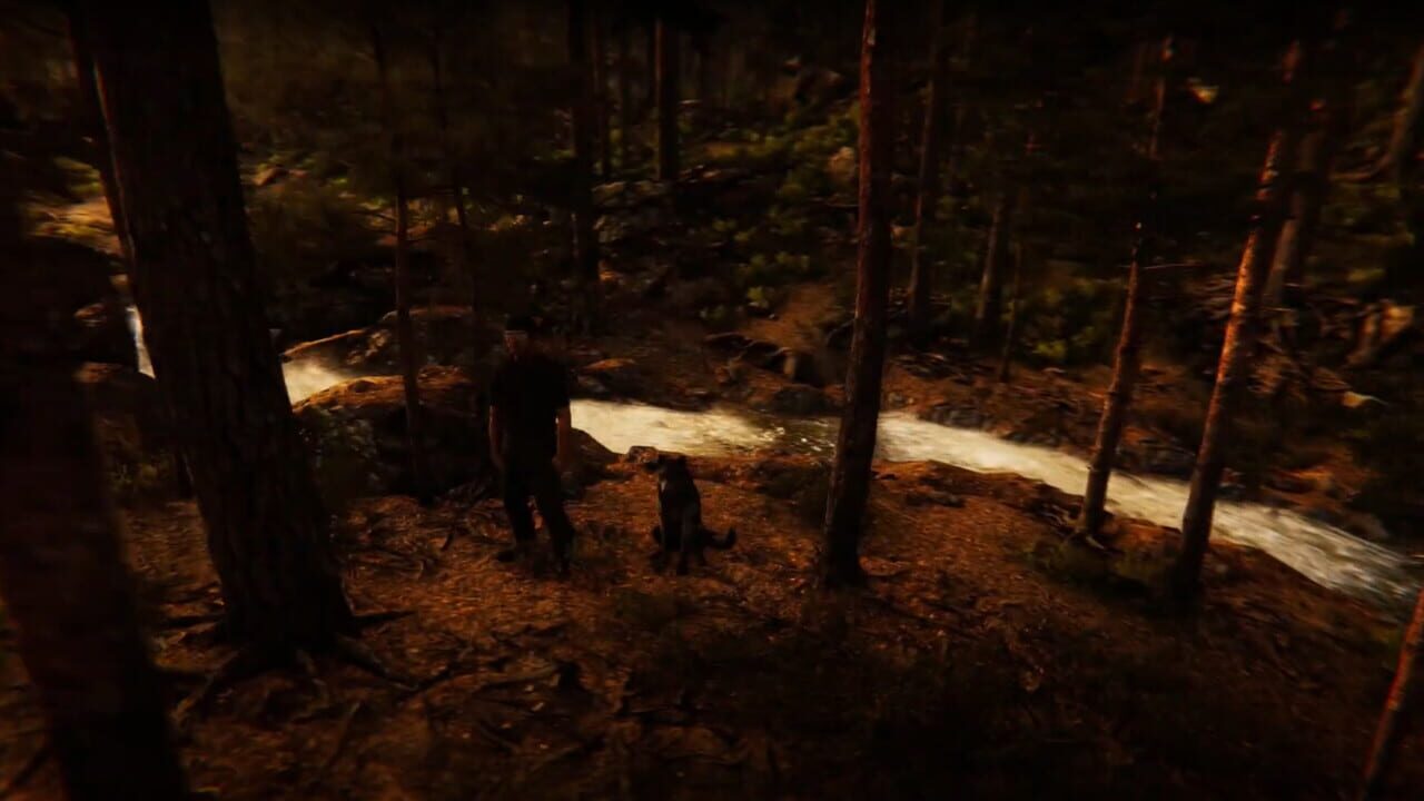 Animal Simulator Image
