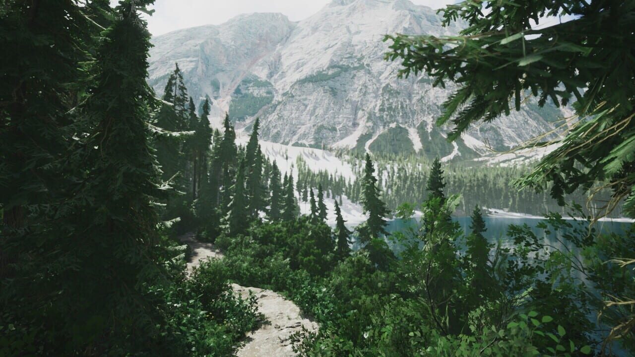 lushfoil-photography-sim-set-to-captivate-players-with-april-2025-release-image-1