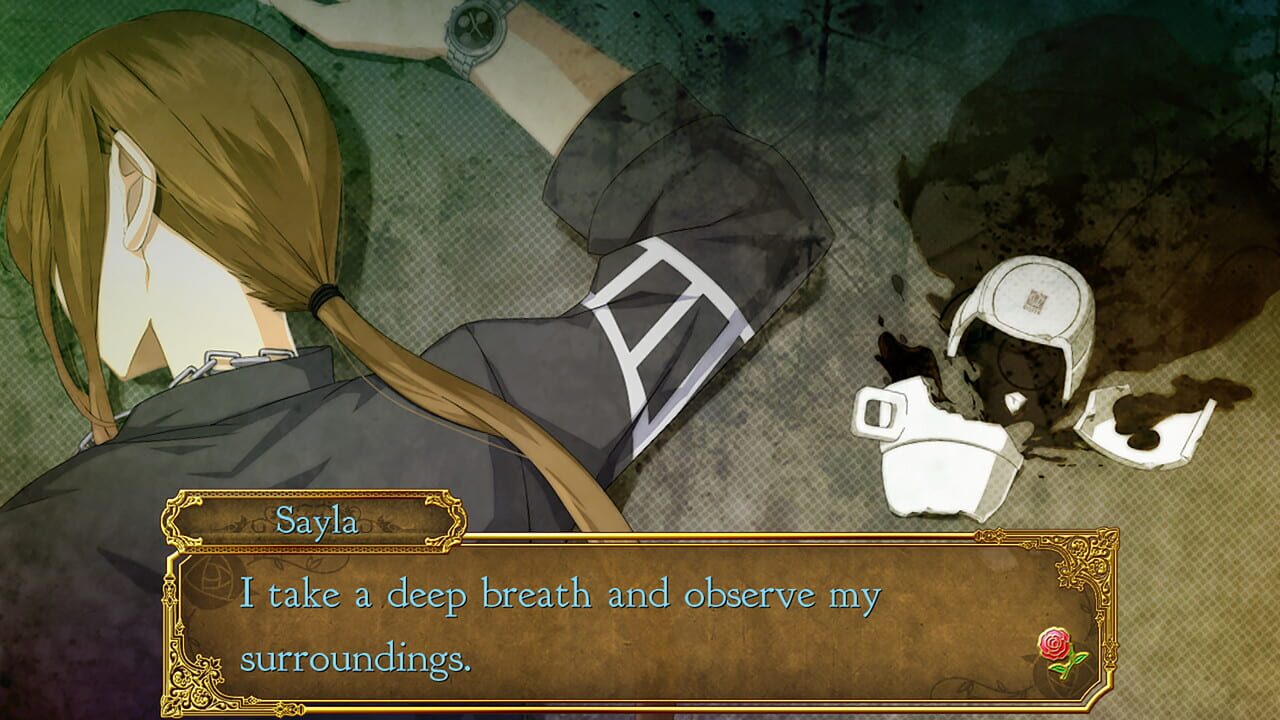 Himegimi Detective Image