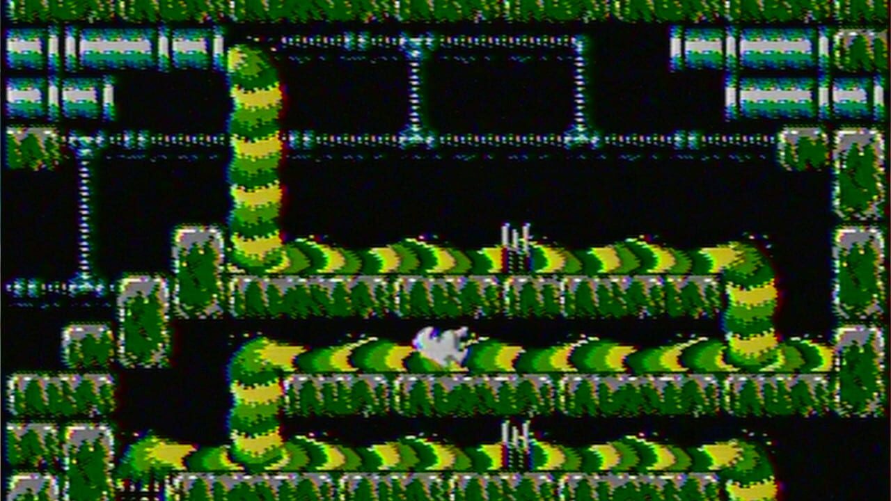 Slow Mole Image