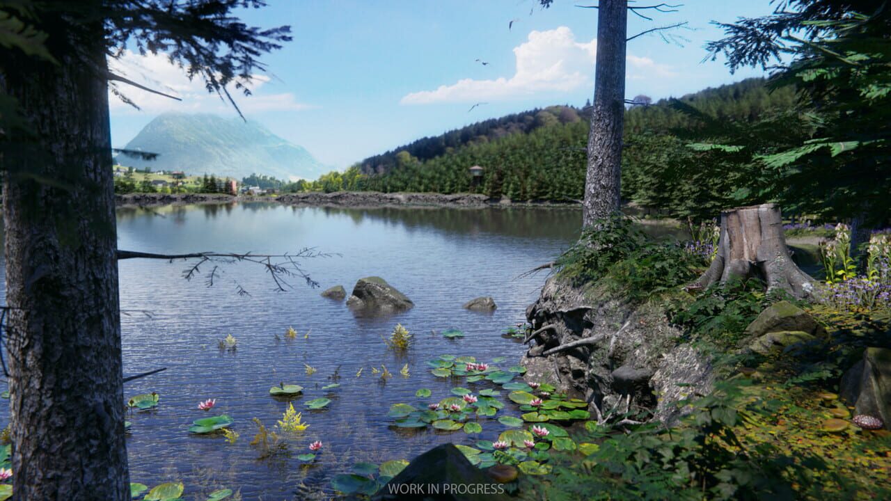 Birding Simulator — Screenshot 1