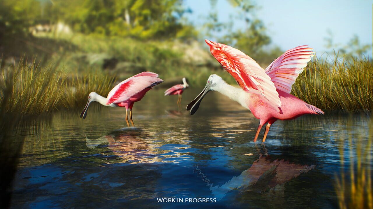 Birding Simulator — Screenshot 3