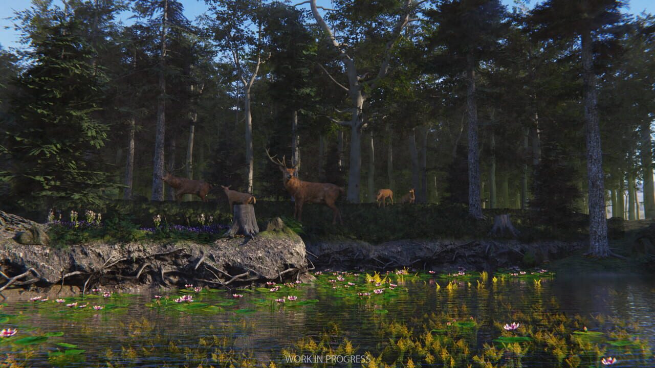 Birding Simulator — Screenshot 4