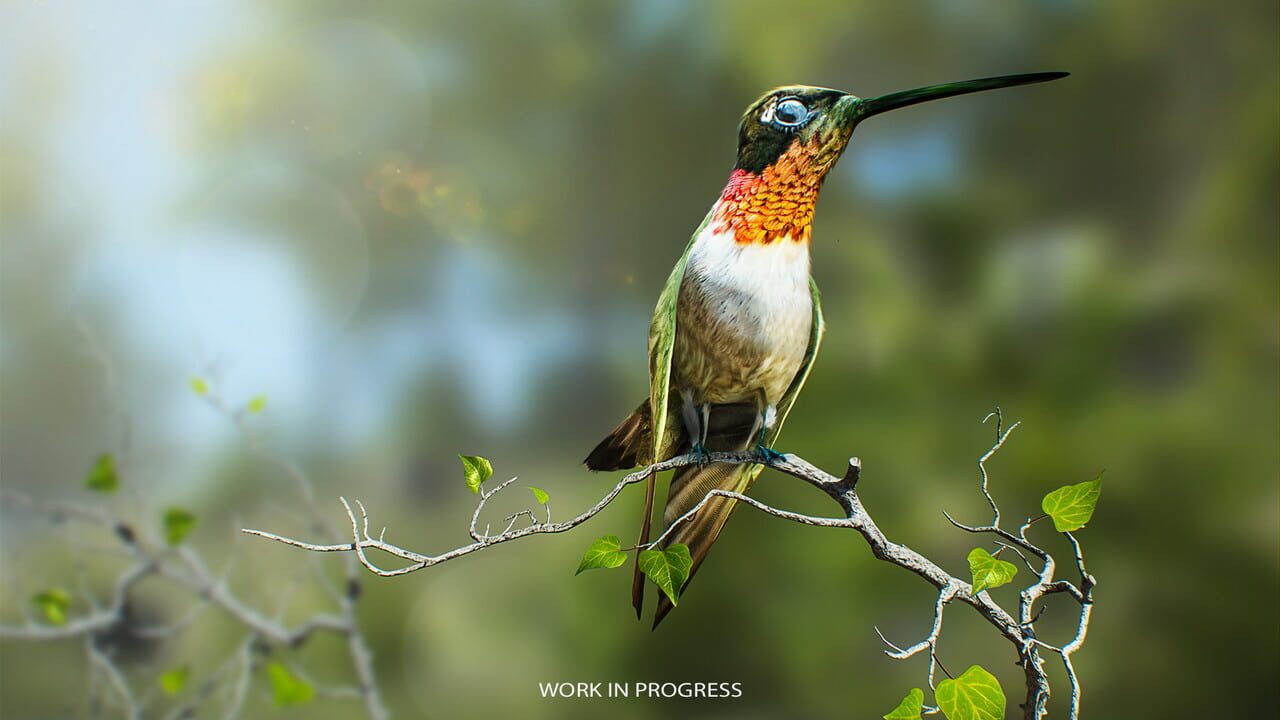 Birding Simulator — Screenshot 5