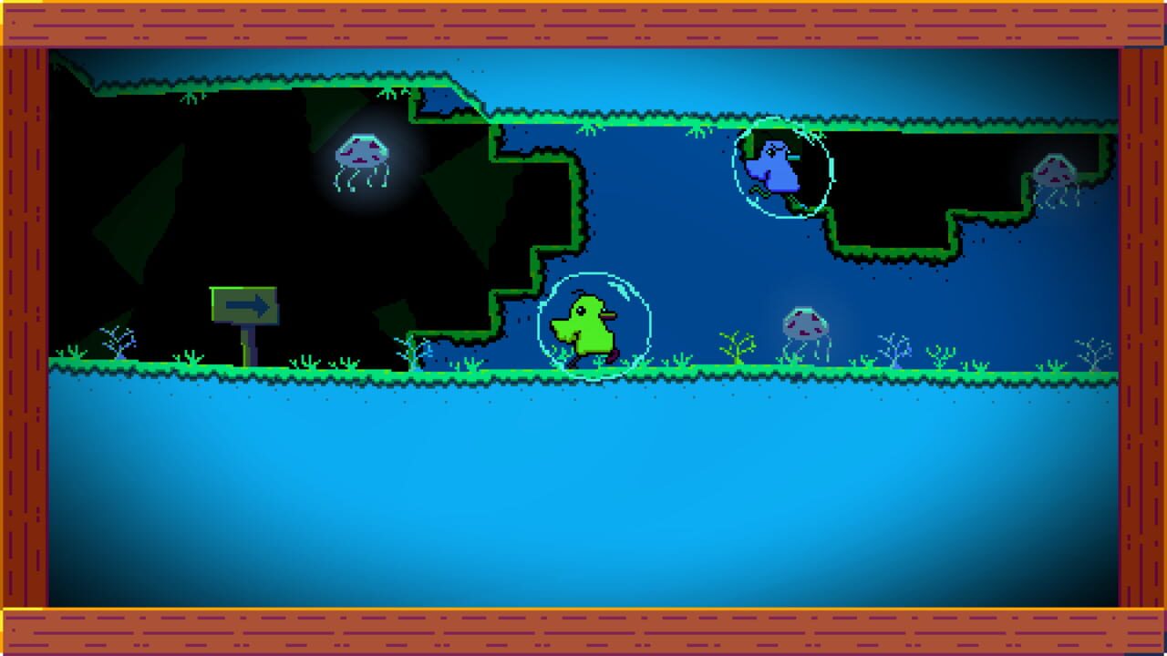 Duck Run Image
