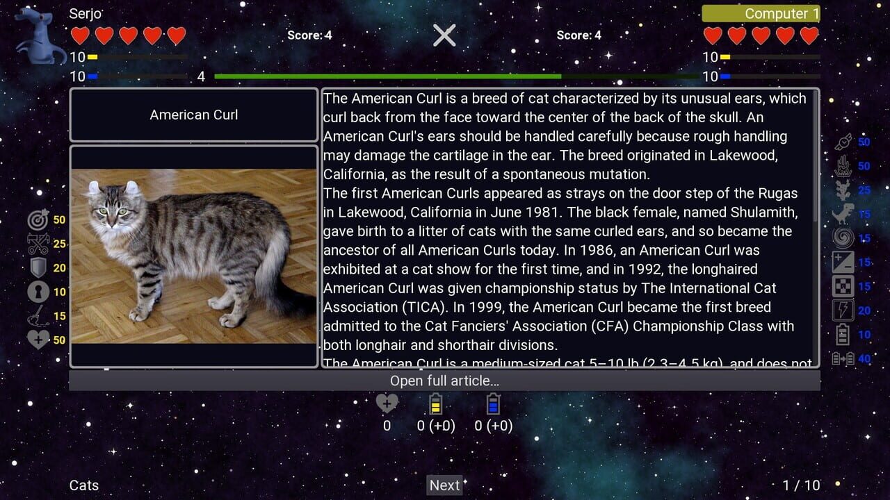 I've Seen Everything: Cats Image