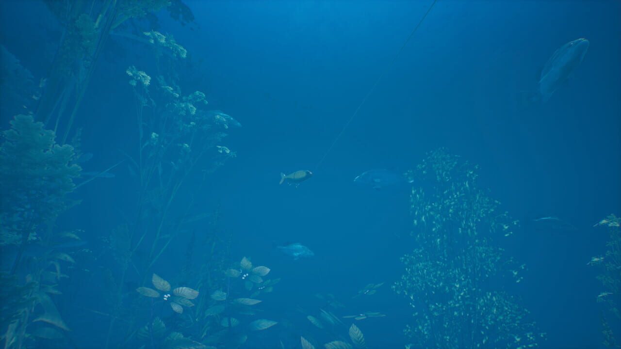 Bassmaster Fishing 2022: Lake Hartwell Image