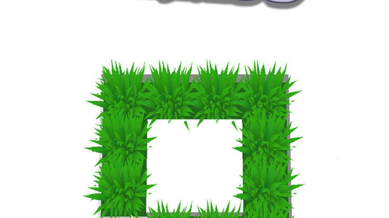 Cut Grass Image