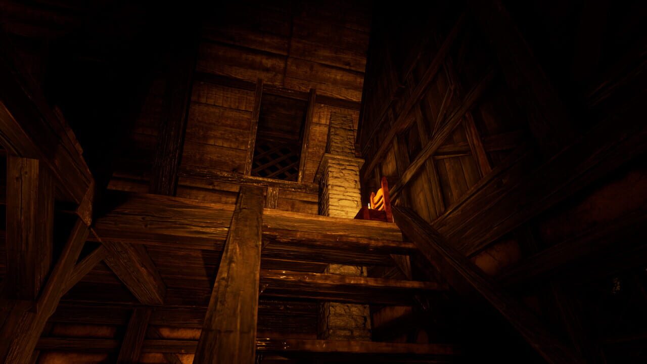 The Thief in the Dark Image