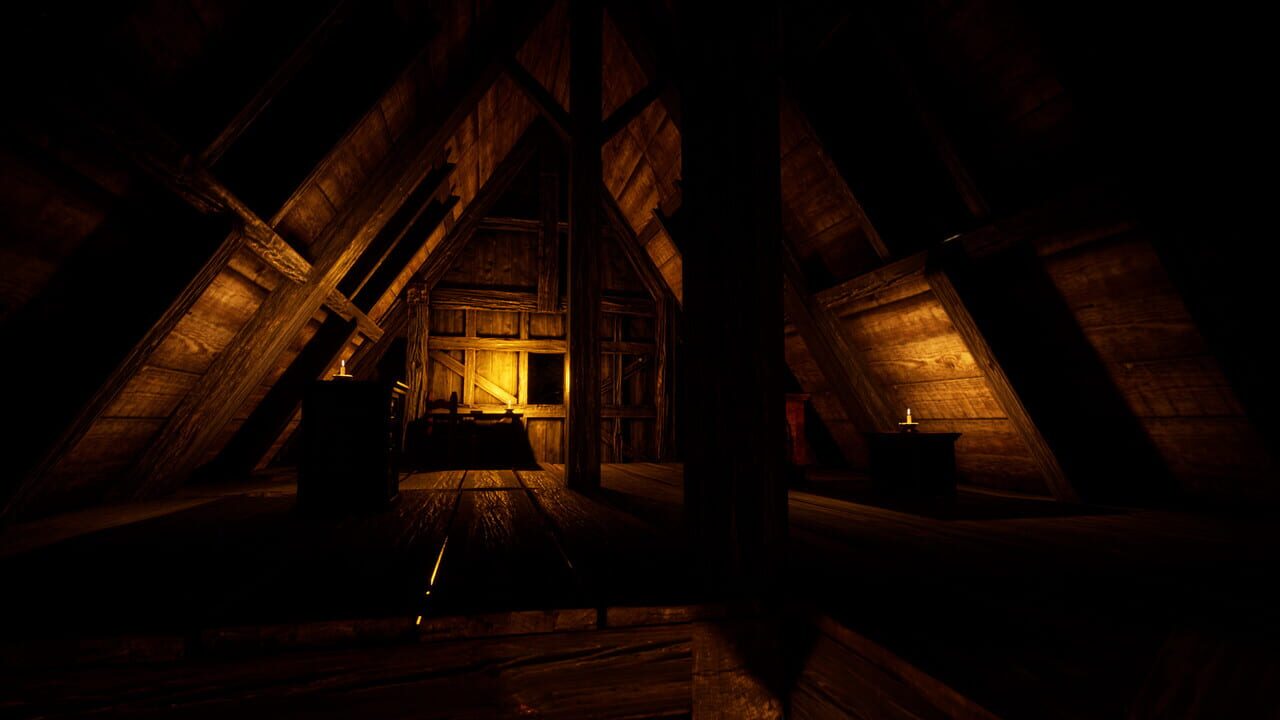 The Thief in the Dark Image