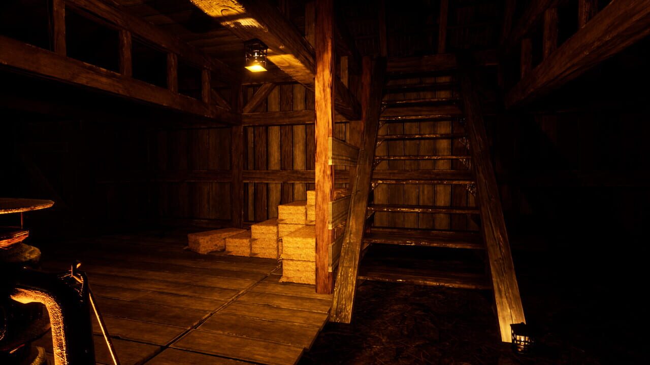 The Thief in the Dark Image