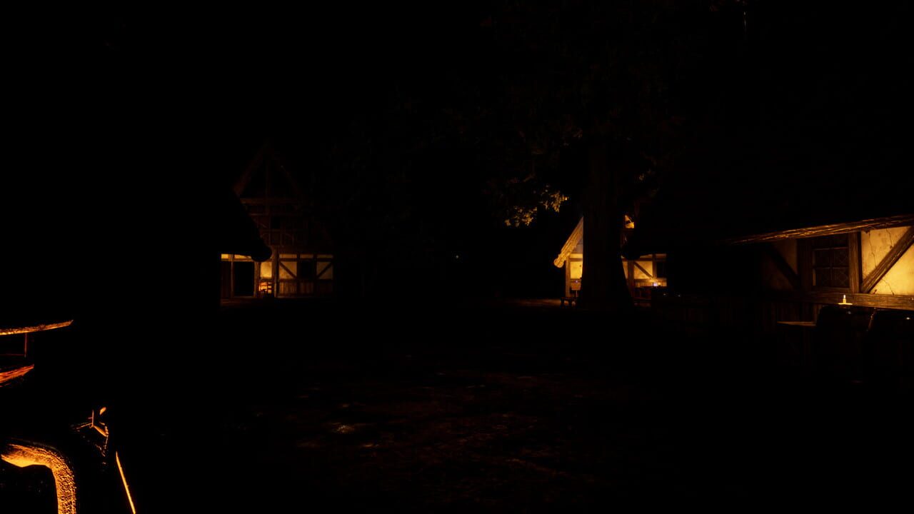 The Thief in the Dark Image