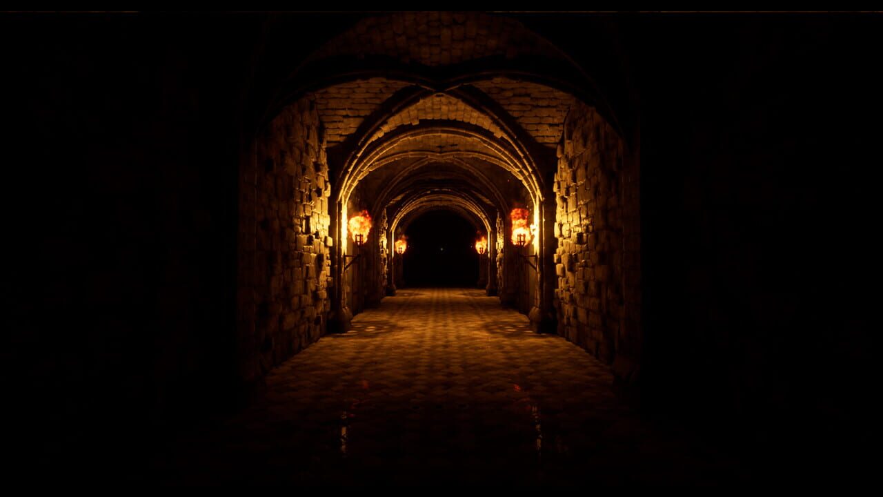 The Thief in the Dark Image