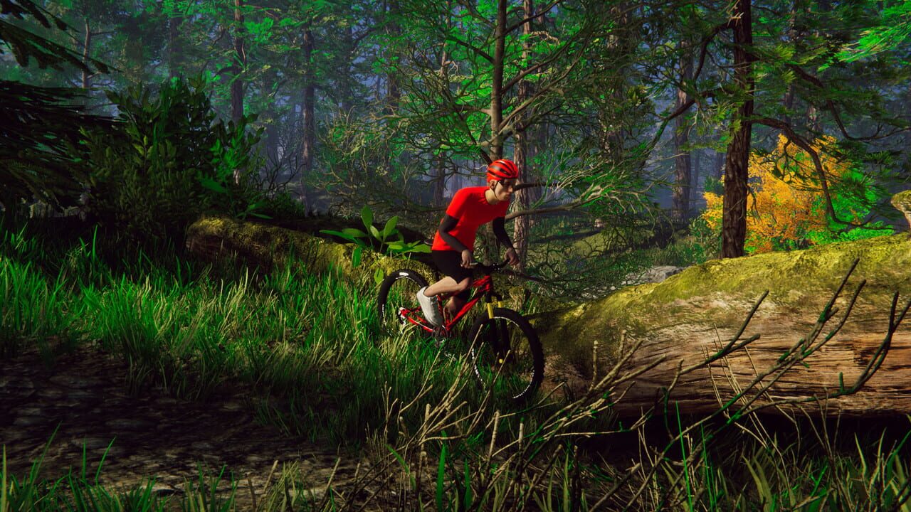 Bicycle Rider Simulator — Screenshot 1