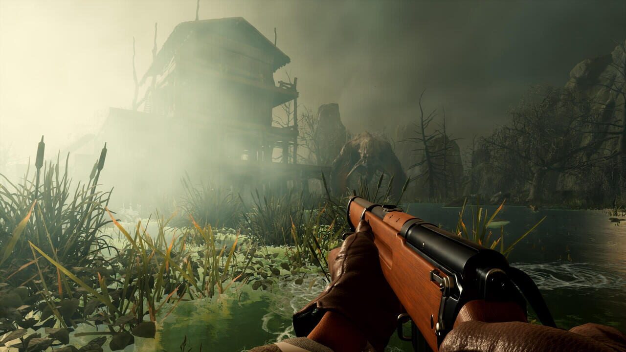 Nightingale Image