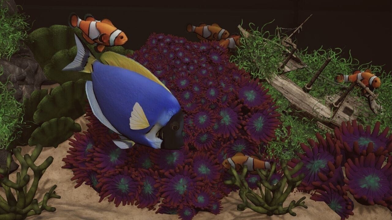 Aquarium Designer: Sea Life Image