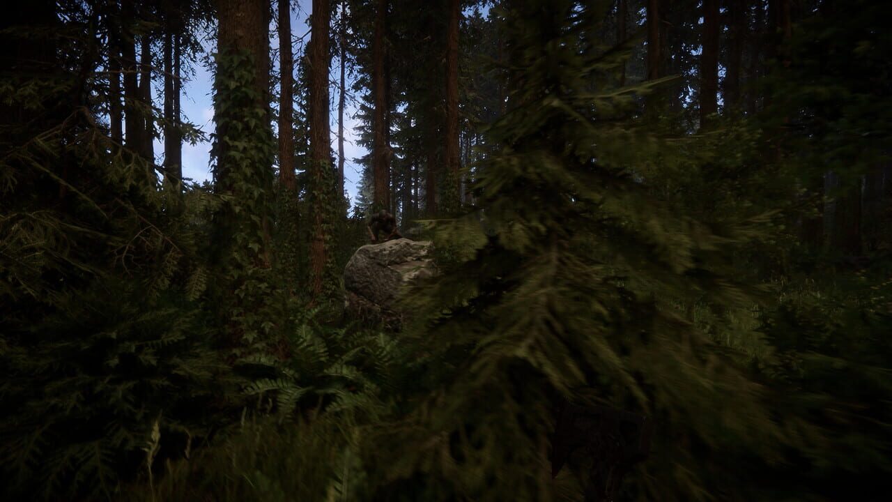 Sons of the Forest Image