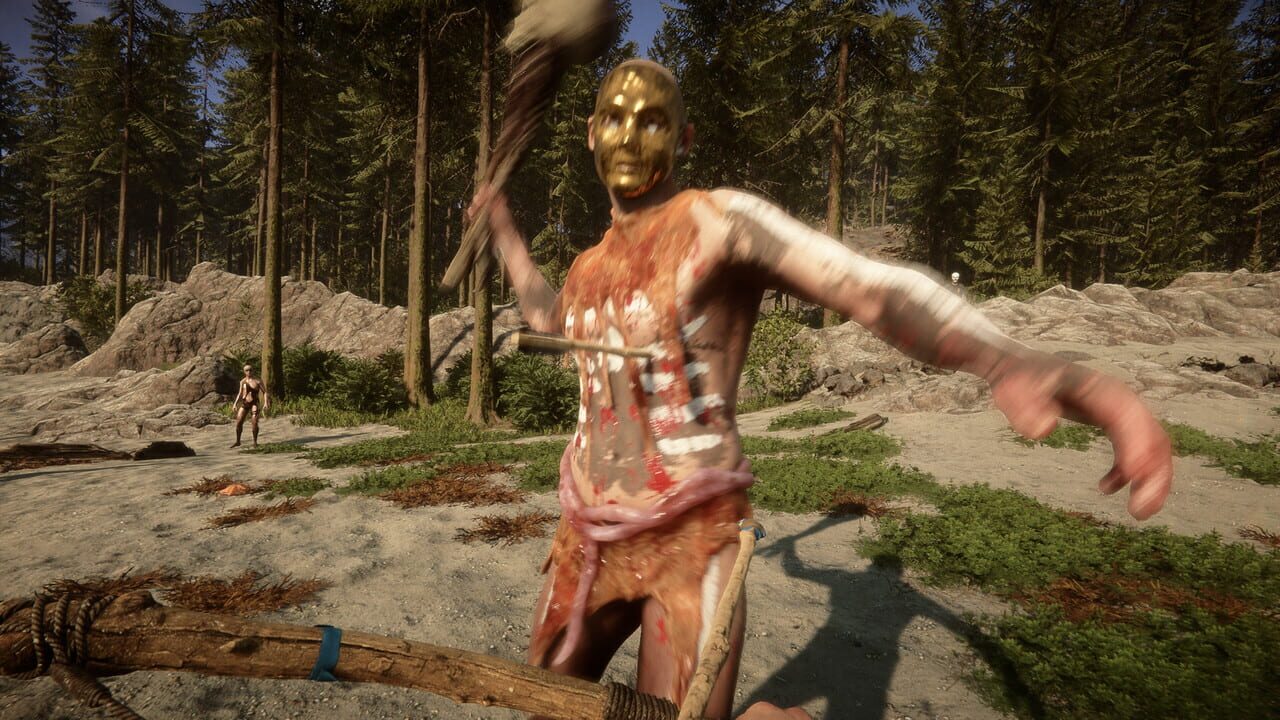 Sons of the Forest Image