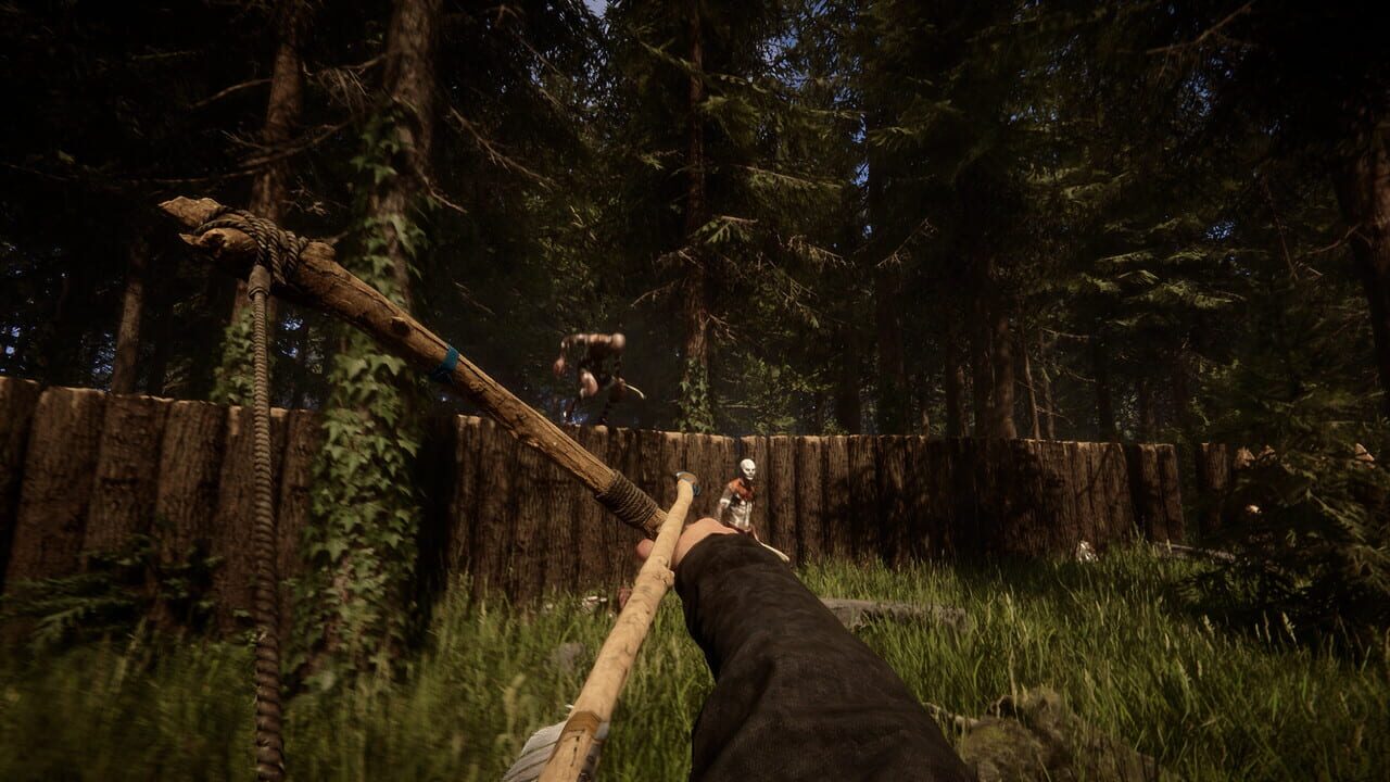 Sons of the Forest Image