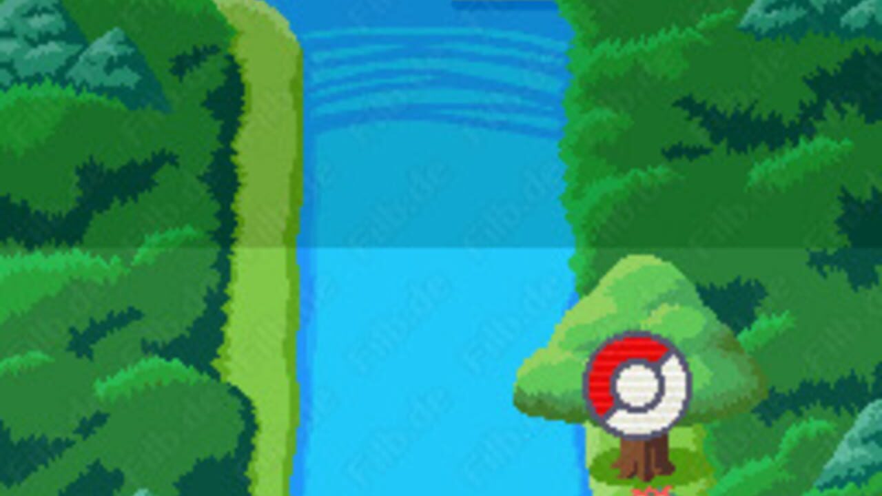 PokéPark: Fishing Rally DS