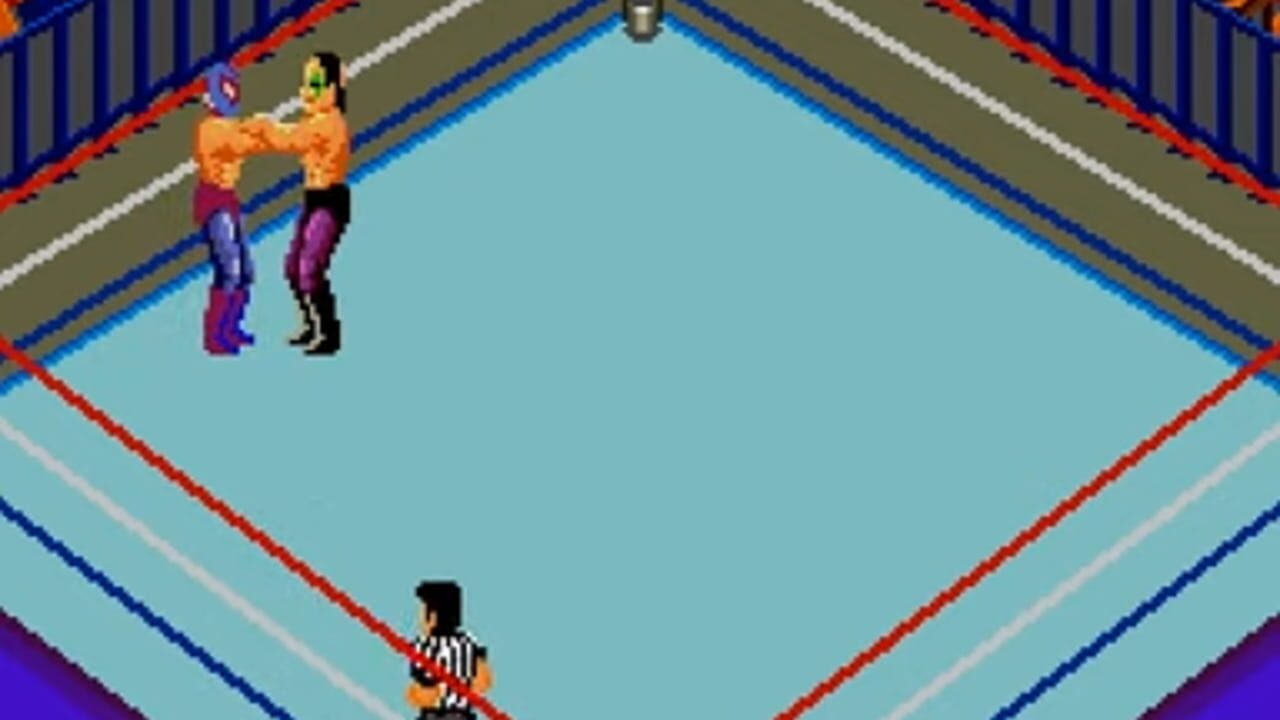 Fire Pro Wrestling: Combination Tag — Screenshot 3