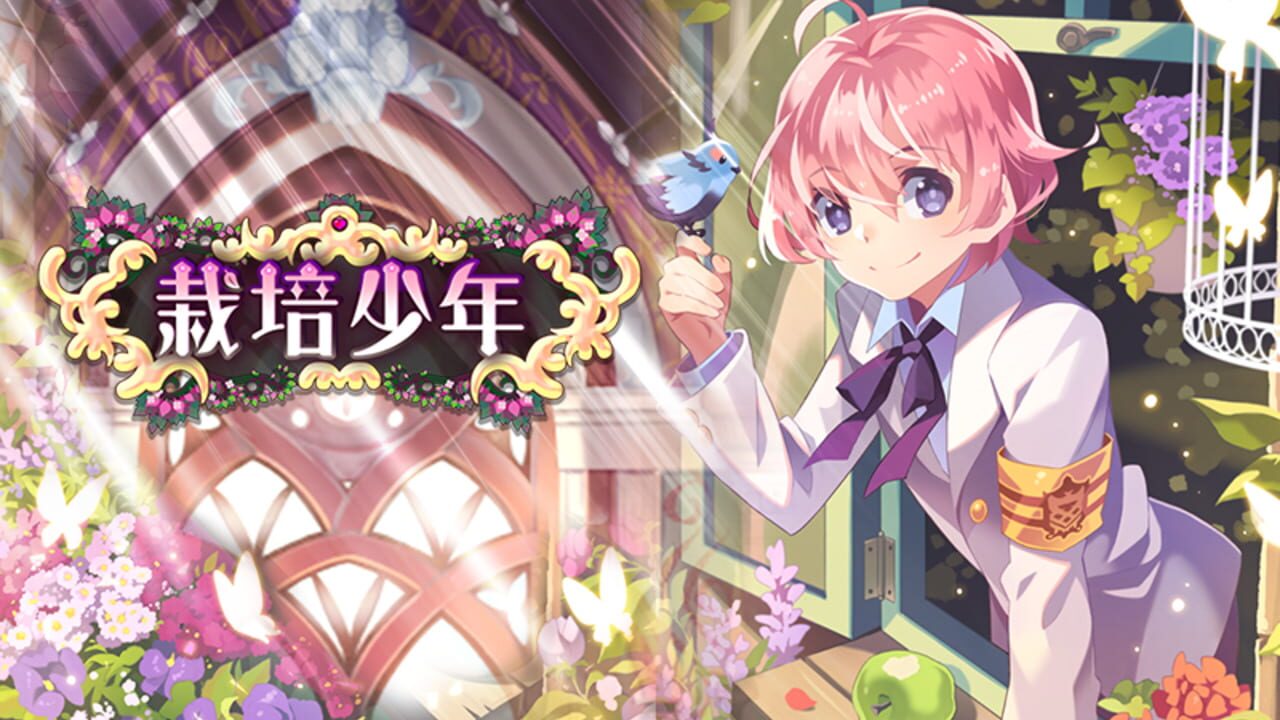 Screenshot 12