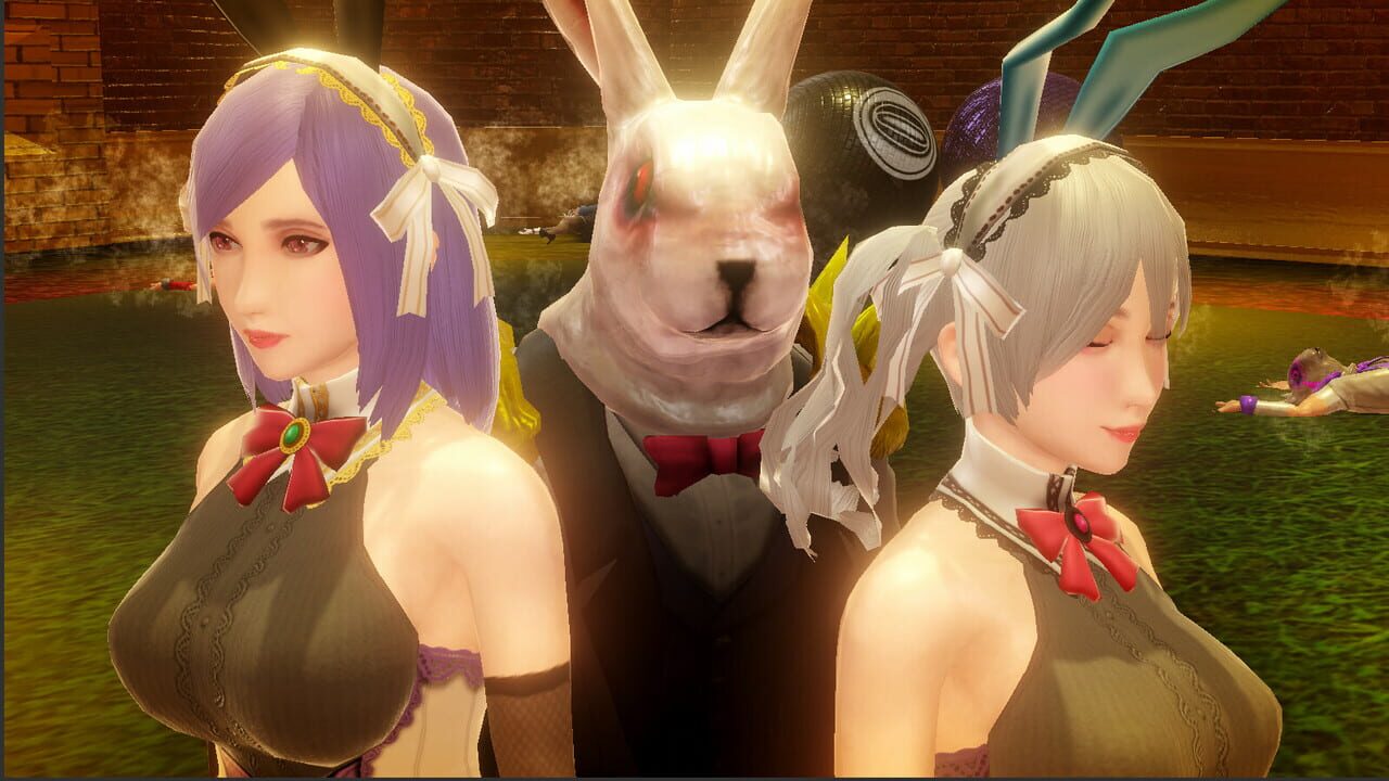 Rabbit Burn Image