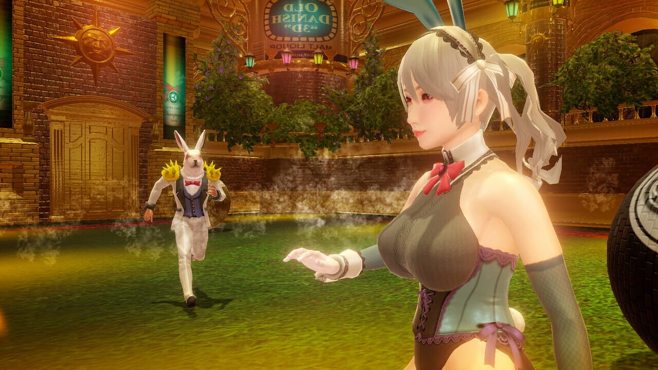 Rabbit Burn Image