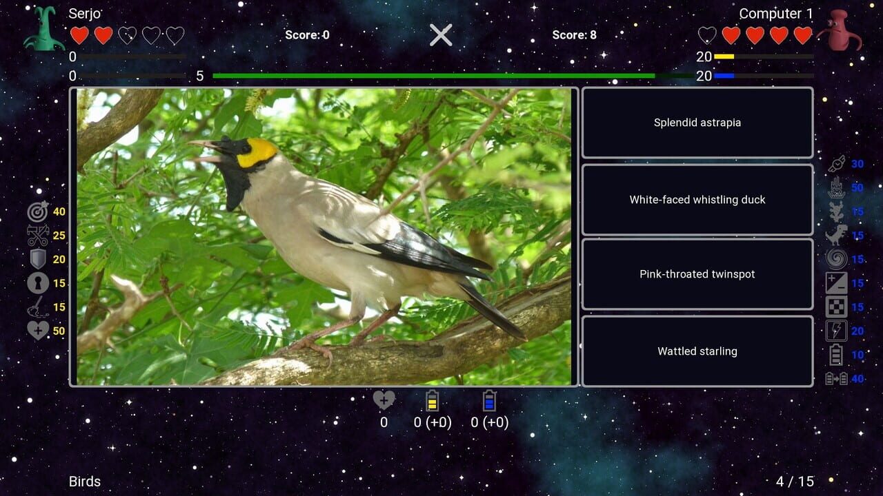I've Seen Everything: Birds Image