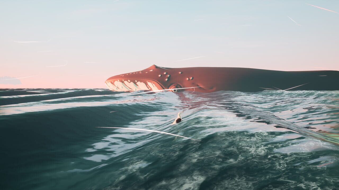 Toroa Image