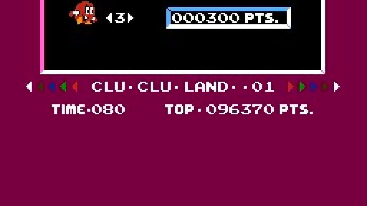 Vs. Clu Clu Land