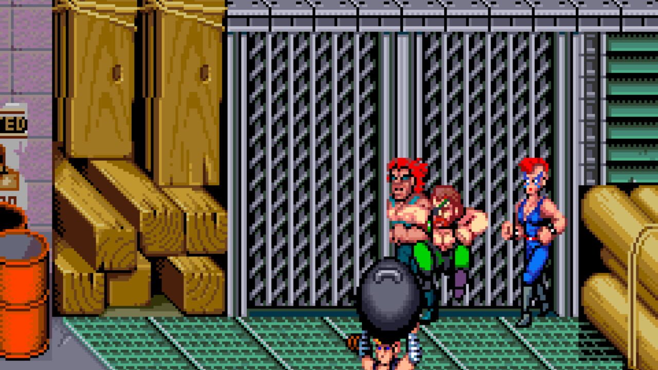 Double Dragon II: The Revenge Image