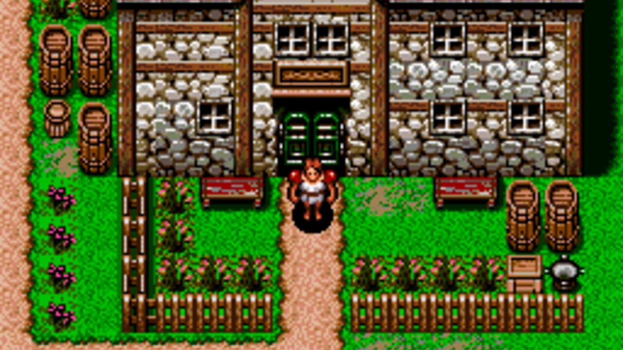 Brain Lord — Screenshot 3