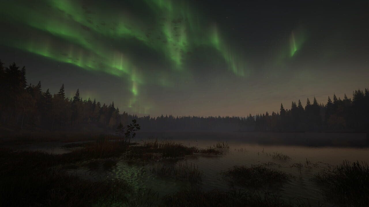 TheHunter: Call of the Wild - Revontuli Coast Image