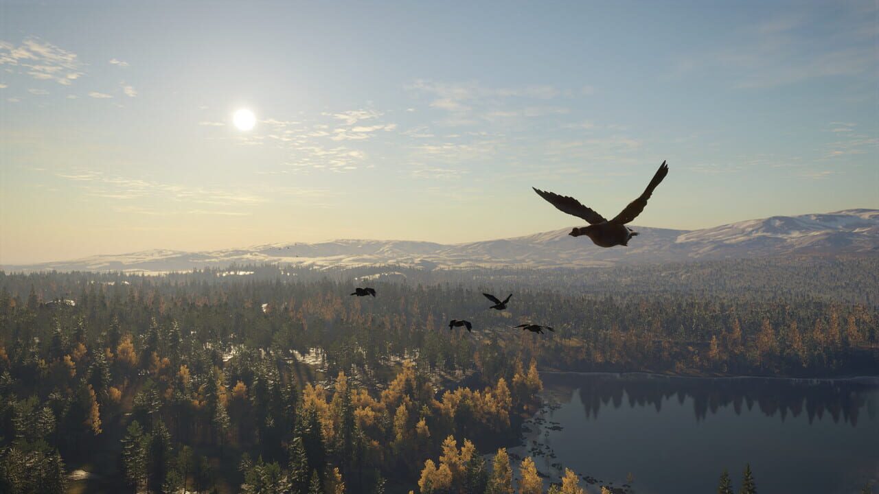 TheHunter: Call of the Wild - Revontuli Coast Image