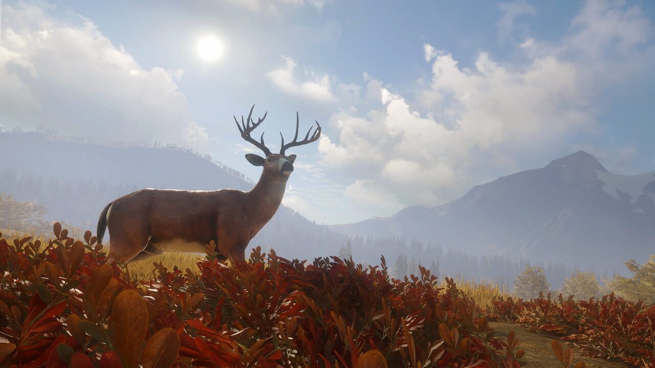 TheHunter: Call of the Wild - TruRACS Image